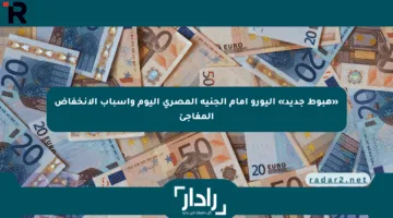 «هبوط جديد» اليورو أمام الجنيه المصري اليوم وأسباب الانخفاض المفاجئ